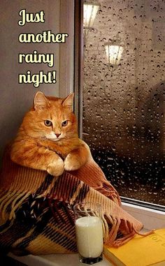 c533f1e0ad60c1c582cbd0ee52c0ac84