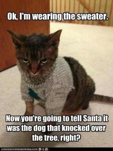 b6bbba2d28cdd42d5bdd084ed13b21d8