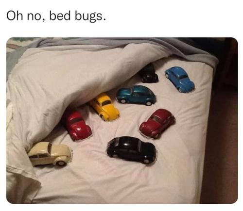 471601180_1165884921567842_884313946751924681_n