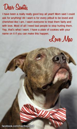 4e4adbddc04bd0a2de0ac91255d15568