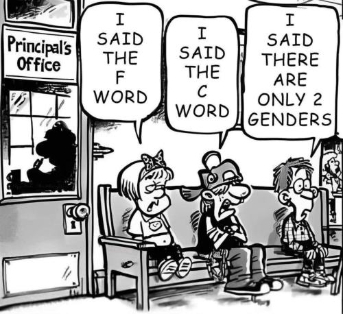 d504ee80-6c35-4a75-81b8-1a06a6eaa97a