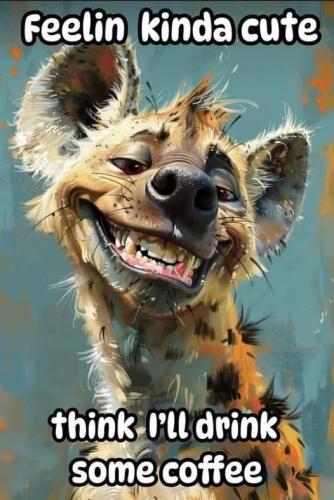 471193971_459793223831301_2072275255111647890_n