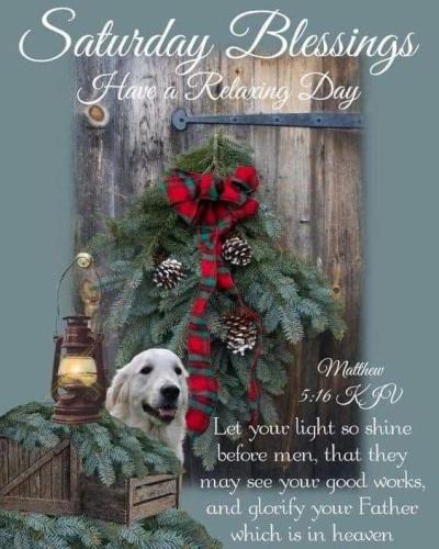 morning winter saturday 2