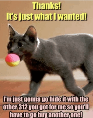 thanks-s-just-wanted-just-gonna-go-hide-with-other-312-got-so-have-go-buy-another-one