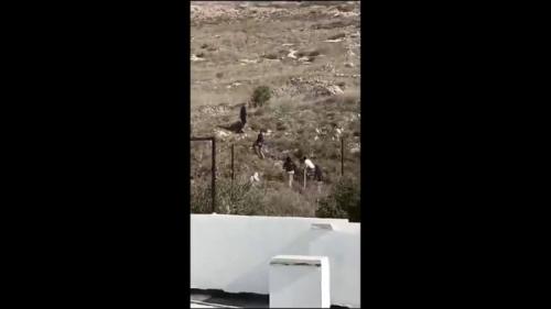 GezdJIRaMAEqhv_