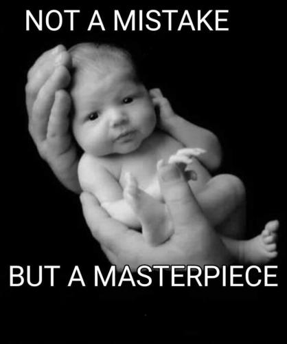 7d2973b0b20871e3608c5e458cf7d406