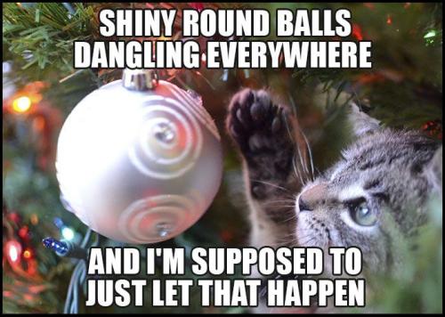 8ca3a48e3c26eac70c7dbacbf6ea526b