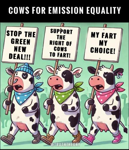 Screenshot_20241231_094645_Facebook