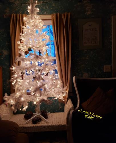 Screenshot_20241221_125202_Gallery