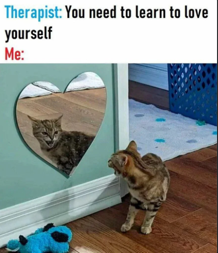 Screenshot 2024-12-24 175511