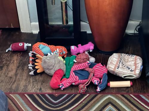 105401D3-17AE-4DCE-BEC5-51729D2BCB97