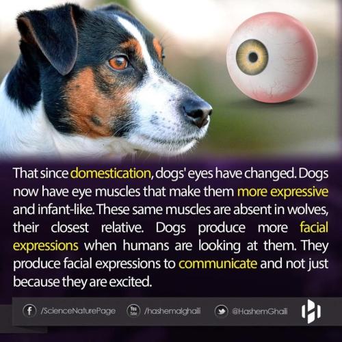 FCE76B20-D5A1-4942-B3E1-F10052DF41F5