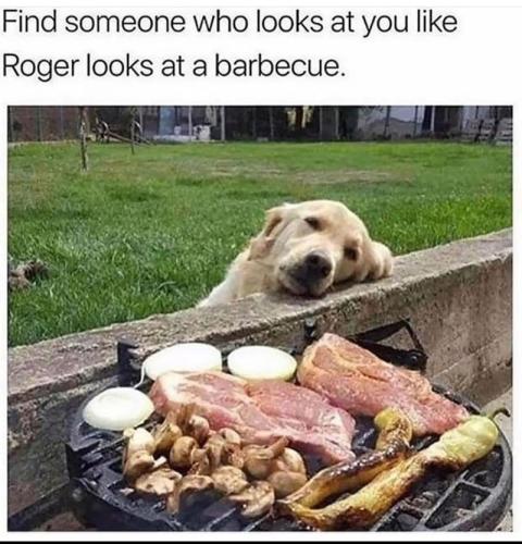 find-someone-who-looks-at-like-roger-looks-at-barbecue