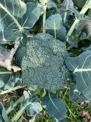 800A8D75-877C-44E1-8367-293974103BA7