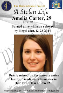 illegal immigration407