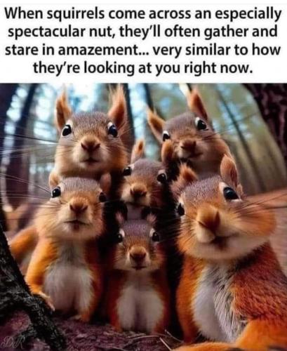 84F99906-C6C2-44B1-828D-DDD5661D32A1