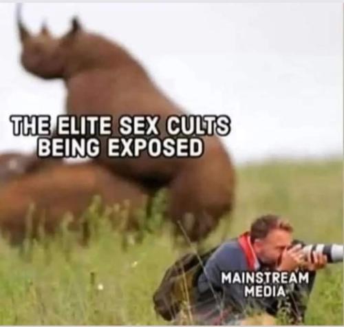 Screenshot_2024-12-06-18-06-57-15_a23b203fd3aafc6dcb84e438dda678b6