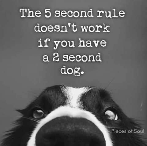 47de1b301a85b2b41fba8004493a3daf