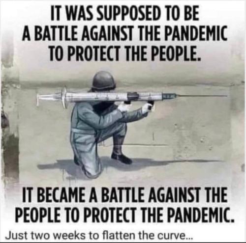 IMG_20241228_170520_969