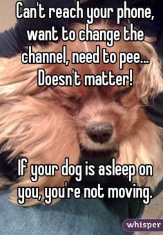 7533b529d190d33179d756ad17691a8a