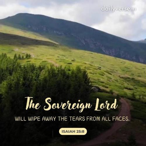 49506_Mountain-View-Daily-Inspirational-Quotes-For-Tiktok-Story