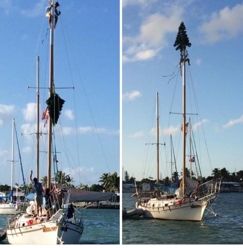 8A76C1B0-29B5-4D6F-8AE4-0D29B6F1C238