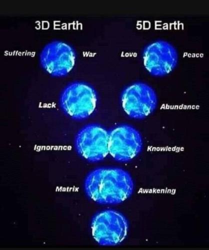 IMG_20241228_073553_313