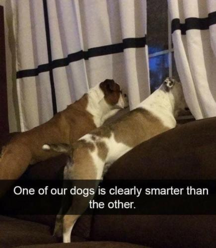 0102D9FD-5F54-4EE1-BACE-88CCA32668DA