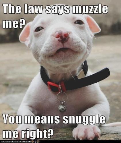 abd144569b7d2a8e229b6a758233d58a