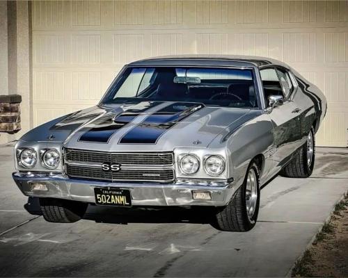 AUTO - Chevelle IMG_9328