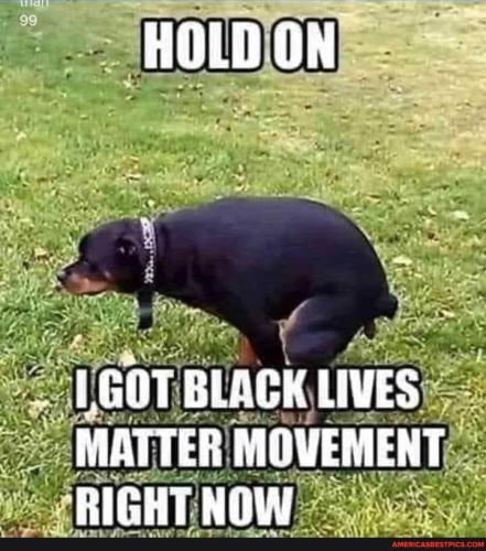 6d31ce3b5b6db642f88d9138eb0d25a7ba7854129959cfde904eb677c86b0617_1