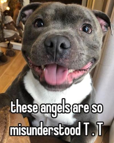 6a6f2a571ddb1581e097bcc32e4919d0