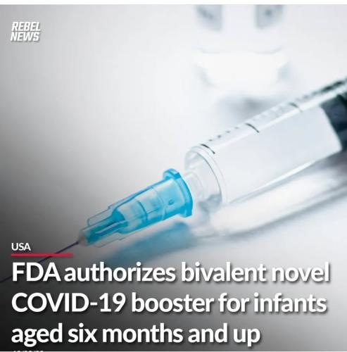 Screenshot_2024-12-27-11-10-47-28_1c337646f29875672b5a61192b9010f9