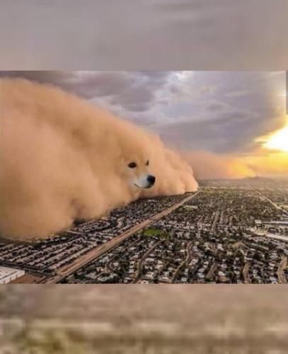 187a21f9-a84d-46f9-b081-3922c071cdde