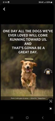 Screenshot_20241203_201429_Pinterest