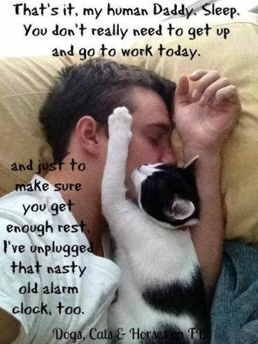 0d948e0f3ad10f28154afadcf6407904