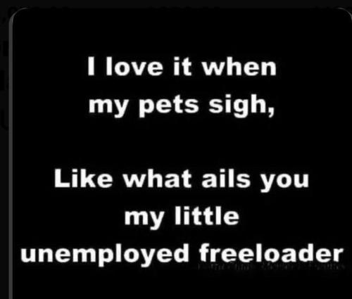 05bab935b562c93cd60edfa3e61faf42