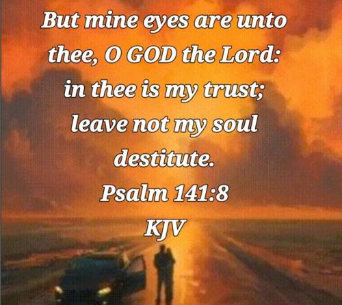 98d4879d-99d4-4e8c-86d6-0a4a5638262a