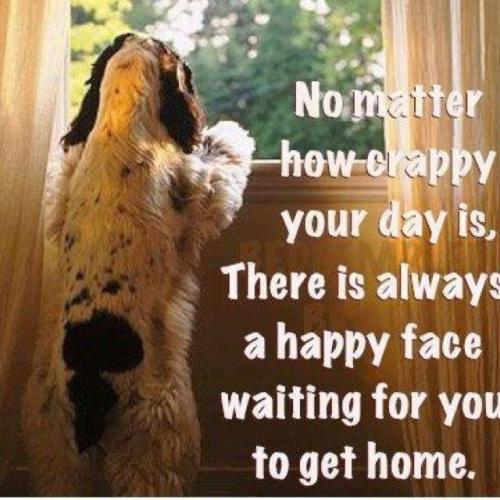 6a03f1d4573c001cceed69bd0f04c990