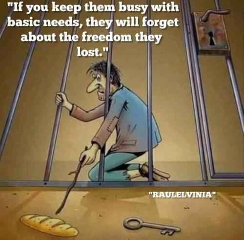 335c8bbe-49d9-4ccb-8b40-665c201413a9