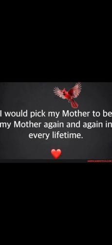 Screenshot_20241224_172323_Gallery