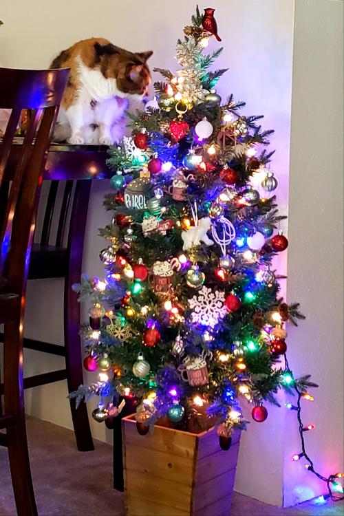 17:30:26 GMT-0600 (CST)