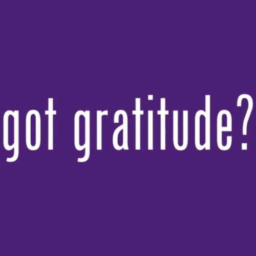 got-gratitude-funny-yoga-joke-spiritual-meme-t-womens-t-shirt