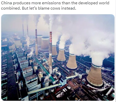 image_2024-12-06_062426157