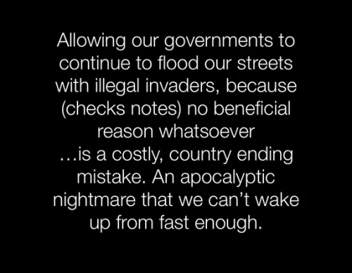 image_2024-12-03_064506836