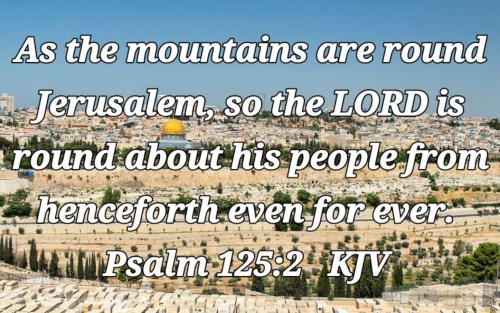 2c5f9e7d-b4bf-48ef-8c95-befaf8d621ea