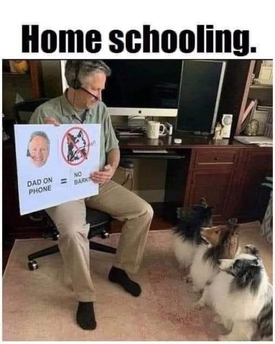 42fdf48bb5b8cd52853839d2937dcf58