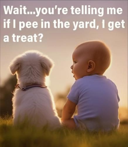 FB_IMG_1735511144480