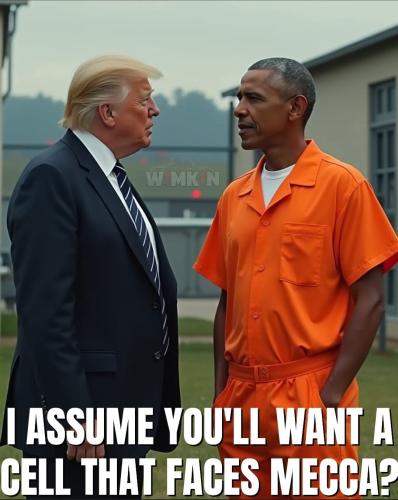 FB_IMG_1735046175881