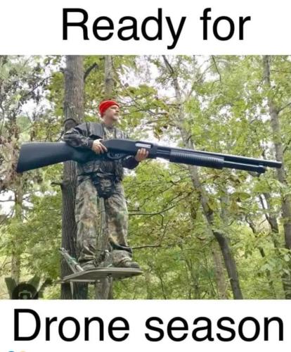 Screenshot_20241220-075956_Brave